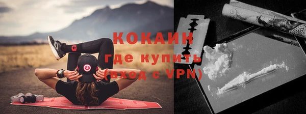 хмурый Бородино